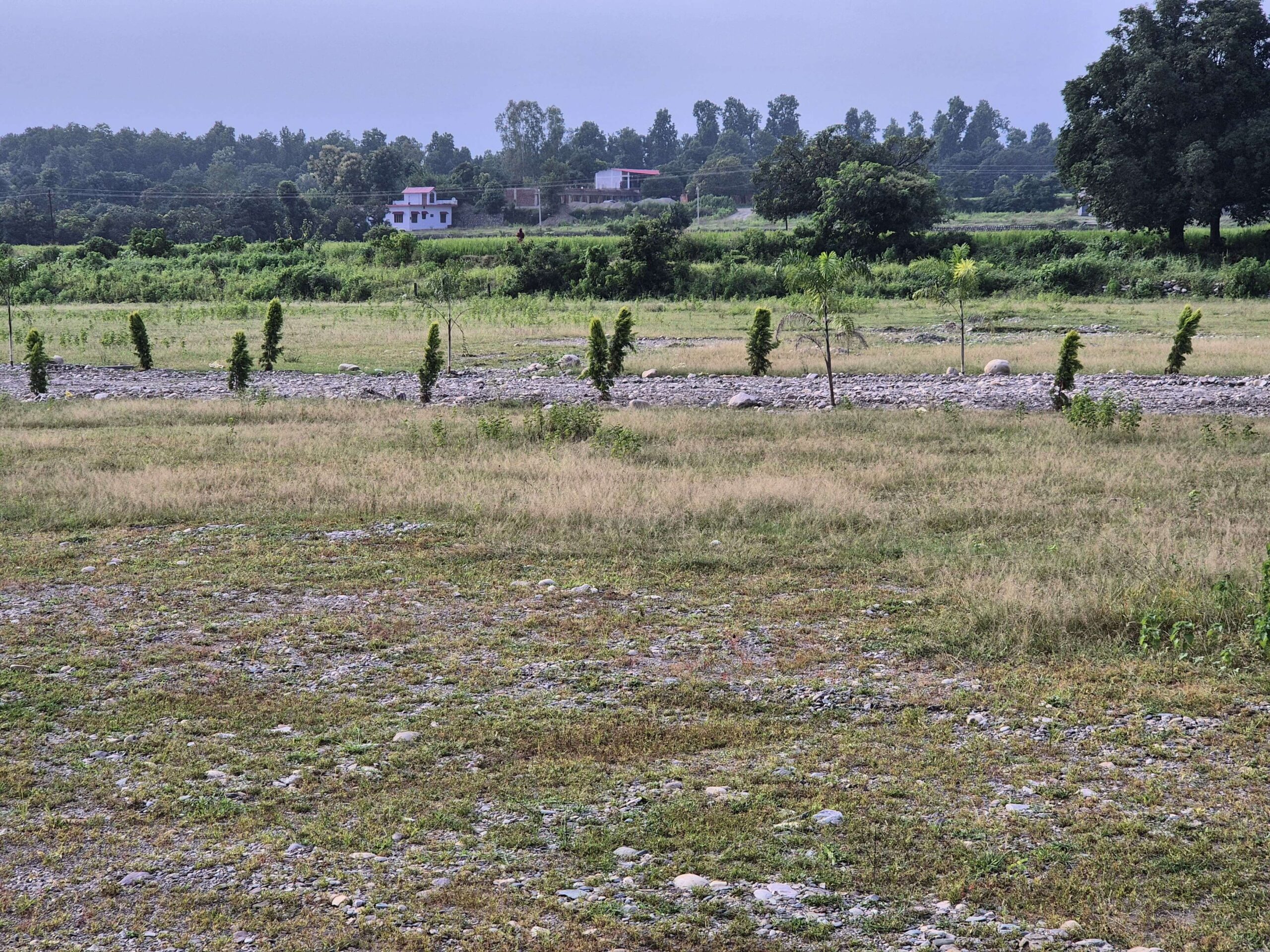 Vaanya Farms near dehradun